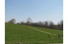 Property photo 14 - 137 Acres in 2 Tracts - 64 Tillable Acres, Potential Building Sites, Hunting